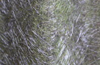 Tremeirchion fibreglass roof work